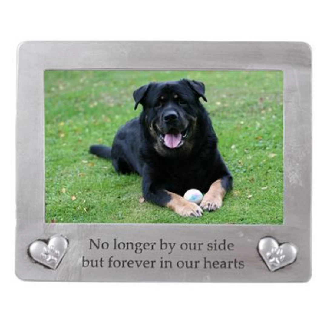 Cheap 🔥 Dei - Pet Memorial Frame Gifts 🥰 3 Dei - Pet Memorial Frame Gifts