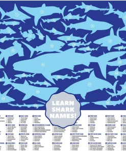 Crocodile Creek - Shark World 100 Piece Puzzle Baby