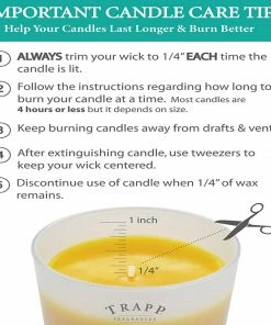 Candles Trapp Signature Candle - Orange Vanilla